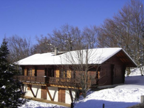 Appartement chalet rénové 6 pers avec terrasse proche Evian, ski et randonnée - FR-1-498-29